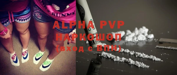 прущие грибы Наволоки