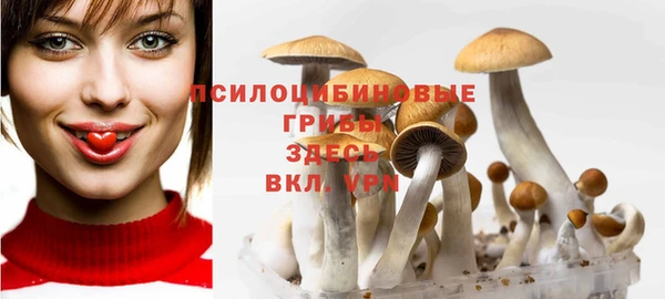 MESCALINE Надым