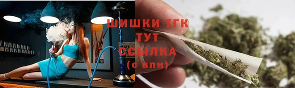 прущие грибы Наволоки