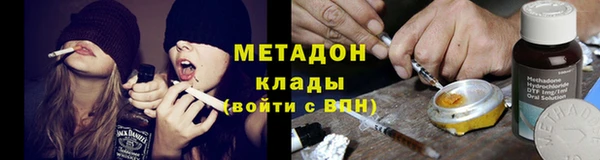 прущие грибы Наволоки